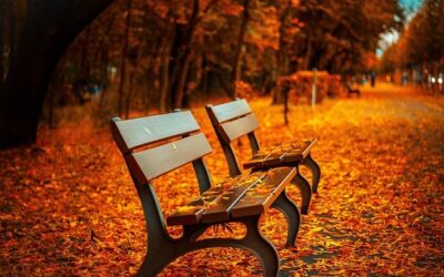 Fall prevention