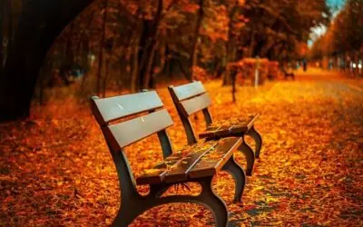 Fall prevention