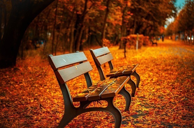 benches-560435_640
