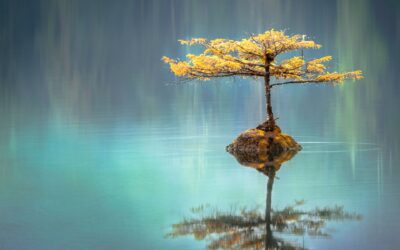 Staying aligned – the foundation of healing