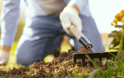 Tips for Gardening without back pain