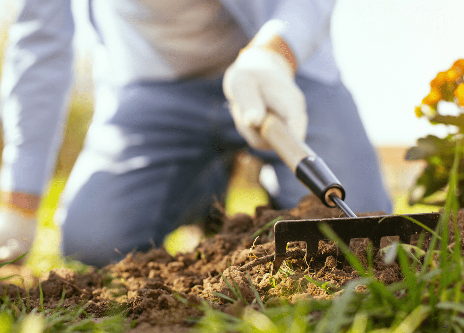 Tips for Gardening without back pain