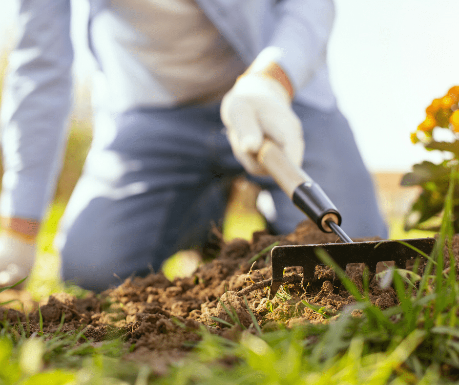 gardening